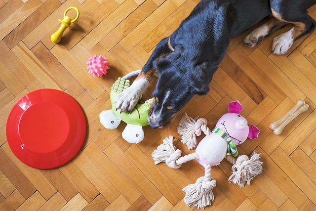 safe chew toys for puppies