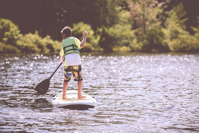best dog life vest
