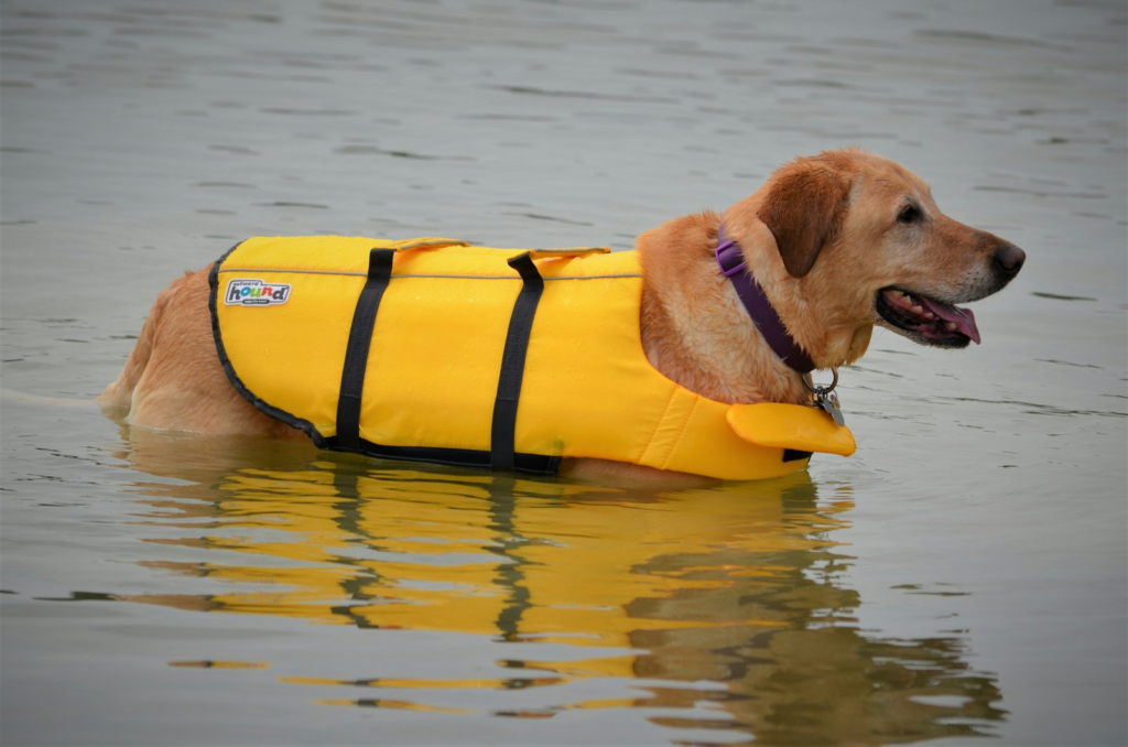 yellow kayak on body of water during daytime